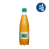 Vichy Catalan Fruit Apple PET 0.5L - 6 units - The Vichy Shop