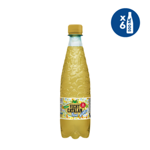 Vichy Catalan Fruit Piña-Coco 6 botellas PET 500ml