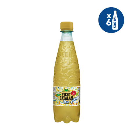 Vichy Catalan Fruit Pineapple-Coconut 6 PET bottles 500ml| The Vichy Store