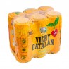 Vichy Catalan Orange tin 0.33L - 6 ud