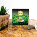 Buy Pennyroyal Infusion from Cool Tea in pyramid bags